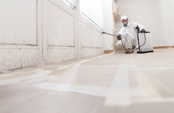 24/7 Emergency Basement Mold Removal experts in Chesterfield, NJ