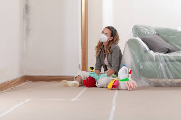 Reliable Basement Mold Removal contractor in Chesterfield, NJ by Cheap Mold Removal